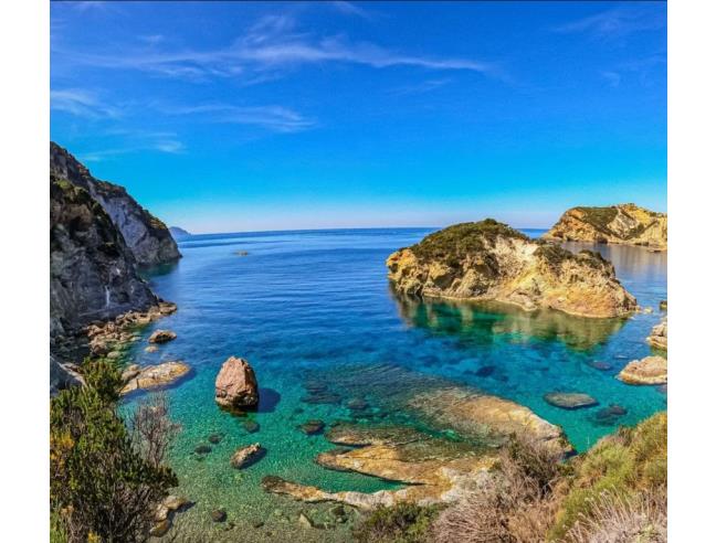 Anteprima foto 2 - Affitto Appartamento Vacanze da Privato a Ponza - Le Forna