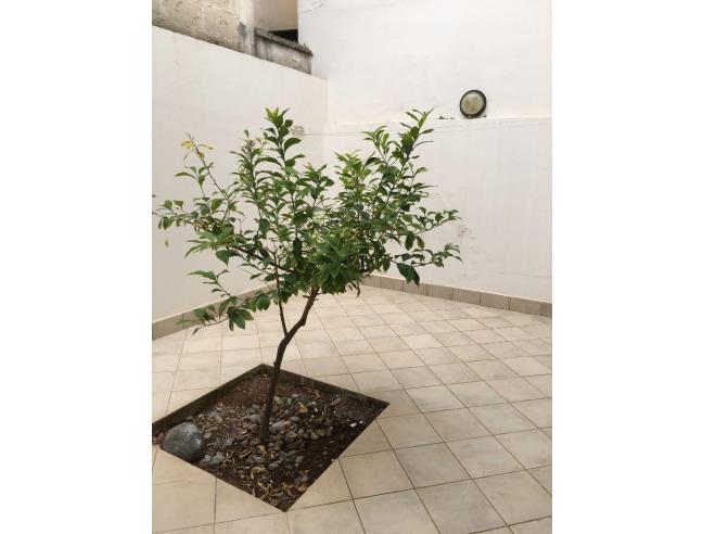 Anteprima foto 7 - Affitto Appartamento Vacanze da Privato a Porto Cesareo (Lecce)