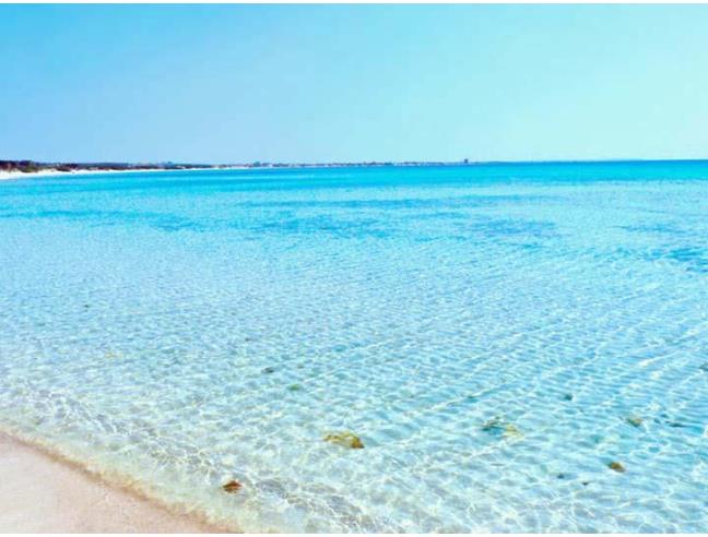 Anteprima foto 1 - Affitto Appartamento Vacanze da Privato a Porto Cesareo - Torre Lapillo