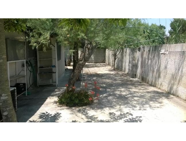 Anteprima foto 4 - Affitto Appartamento Vacanze da Privato a Porto Cesareo - Torre Lapillo