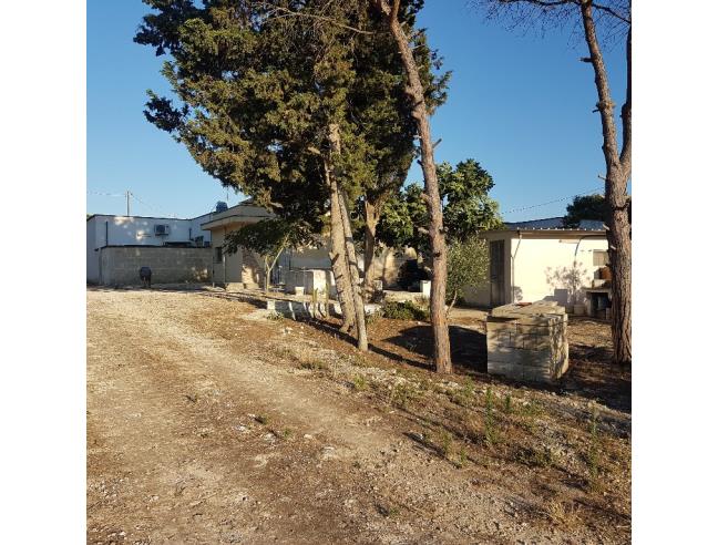 Anteprima foto 4 - Affitto Appartamento Vacanze da Privato a Porto Cesareo - Torre Lapillo