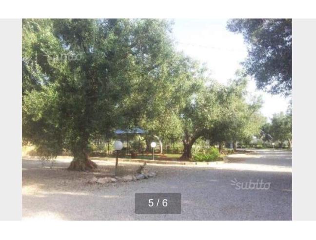 Anteprima foto 4 - Affitto Appartamento Vacanze da Privato a Porto Cesareo - Torre Lapillo