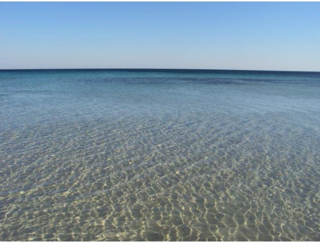 Anteprima foto 8 - Affitto Appartamento Vacanze da Privato a Porto Cesareo - Torre Lapillo