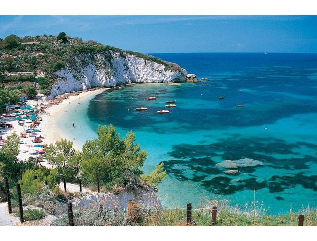 Anteprima foto 7 - Affitto Appartamento Vacanze da Privato a Portoferraio (Livorno)