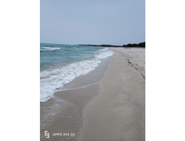 Anteprima foto 7 - Affitto Appartamento Vacanze da Privato a Posada - Monte Longu