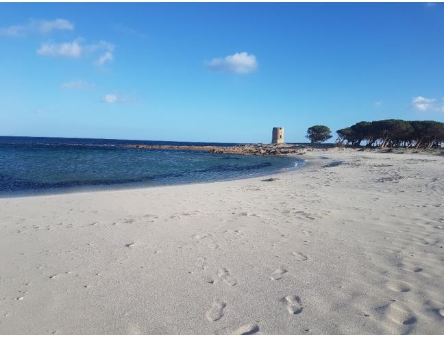 Anteprima foto 3 - Affitto Appartamento Vacanze da Privato a Posada - San Giovanni