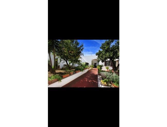 Anteprima foto 2 - Affitto Appartamento Vacanze da Privato a Presicce-Acquarica (Lecce)