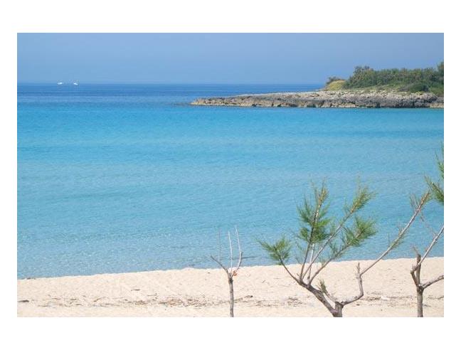 Anteprima foto 6 - Affitto Appartamento Vacanze da Privato a Pulsano - Marina Di Pulsano