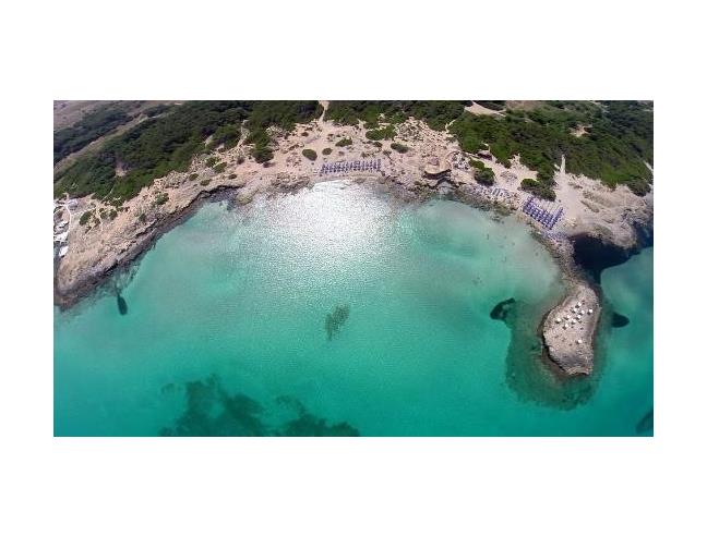 Anteprima foto 6 - Affitto Appartamento Vacanze da Privato a Racale - Tabarano