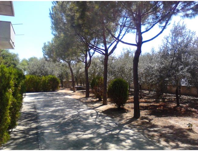 Anteprima foto 3 - Affitto Appartamento Vacanze da Privato a Riace - Riace Marina