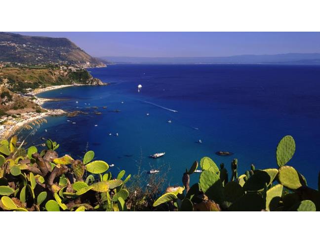 Anteprima foto 6 - Affitto Appartamento Vacanze da Privato a Ricadi - Capo Vaticano