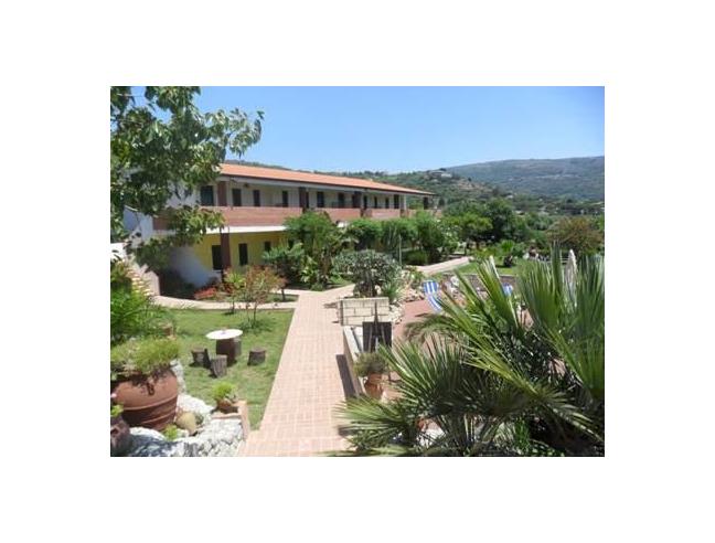 Anteprima foto 2 - Affitto Appartamento Vacanze da Privato a Ricadi - Santa Maria