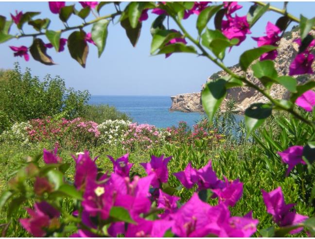 Anteprima foto 3 - Affitto Appartamento Vacanze da Privato a Rio (Livorno)