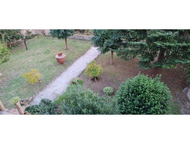 Anteprima foto 2 - Affitto Appartamento Vacanze da Privato a Riparbella (Pisa)