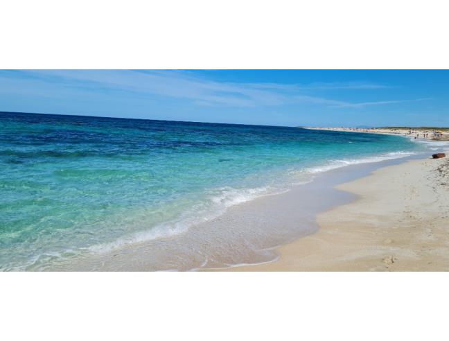 Anteprima foto 4 - Affitto Appartamento Vacanze da Privato a Riparbella (Pisa)