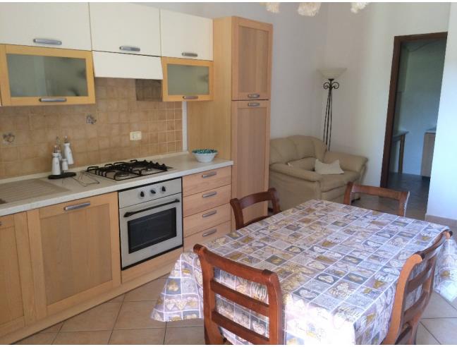 Anteprima foto 4 - Affitto Appartamento Vacanze da Privato a Riparbella (Pisa)