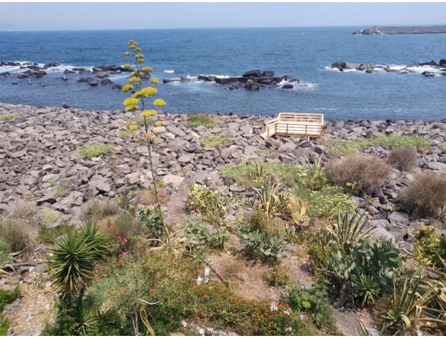 Anteprima foto 3 - Affitto Appartamento Vacanze da Privato a Riposto (Catania)