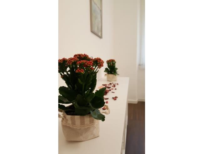 Anteprima foto 7 - Affitto Appartamento Vacanze da Privato a Roma - Appio Latino