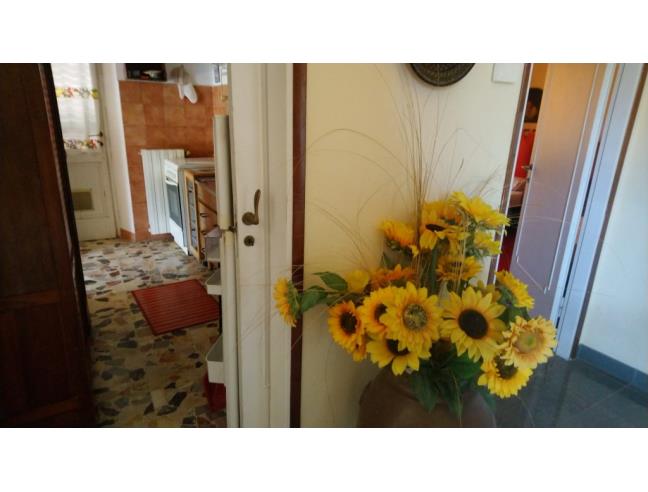 Anteprima foto 6 - Affitto Appartamento Vacanze da Privato a Rosignano Marittimo - Castiglioncello