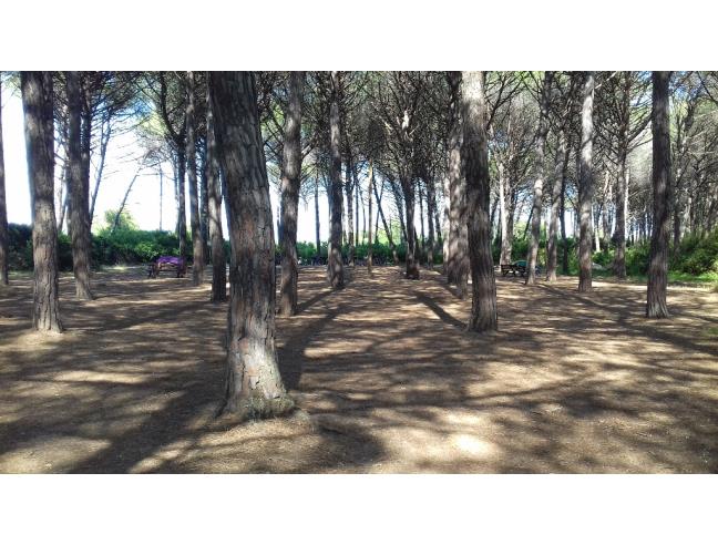 Anteprima foto 3 - Affitto Appartamento Vacanze da Privato a Rosignano Marittimo - Mazzanta