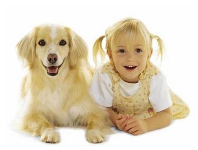 Anteprima foto 4 - Affitto Appartamento Vacanze da Privato a Rosignano Marittimo - Mazzanta