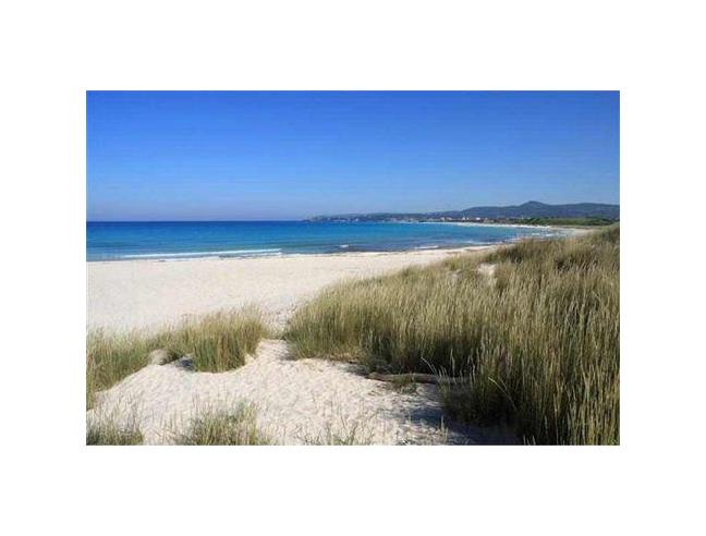 Anteprima foto 6 - Affitto Appartamento Vacanze da Privato a Rosignano Marittimo - Vada