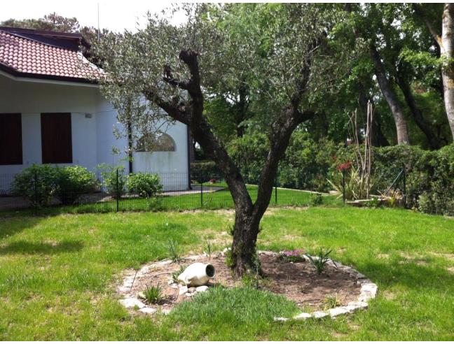Anteprima foto 3 - Affitto Appartamento Vacanze da Privato a Rosolina - Isola Albarella
