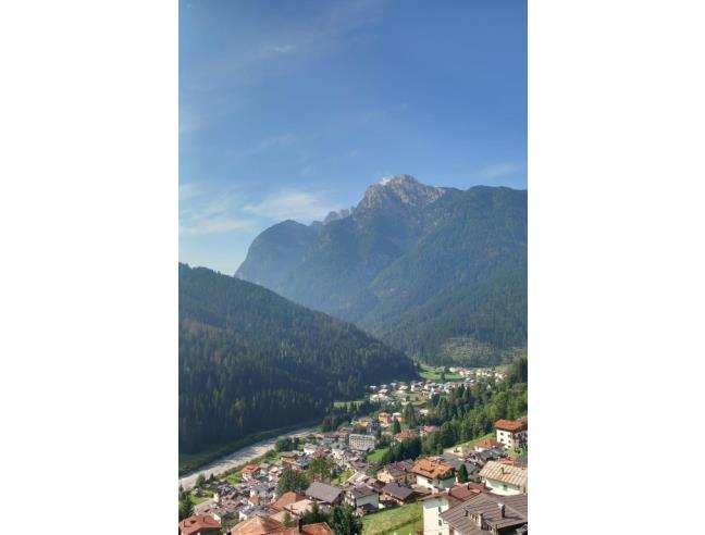 Anteprima foto 6 - Affitto Appartamento Vacanze da Privato a San Pietro di Cadore (Belluno)
