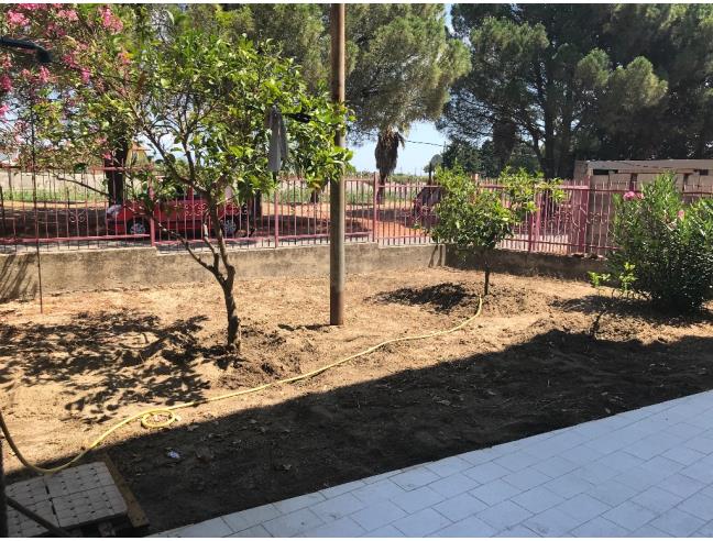 Anteprima foto 5 - Affitto Appartamento Vacanze da Privato a San Sostene (Catanzaro)