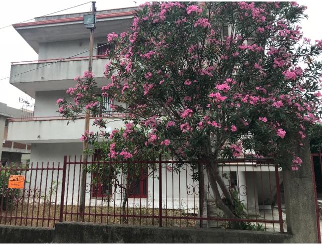 Anteprima foto 7 - Affitto Appartamento Vacanze da Privato a San Sostene (Catanzaro)