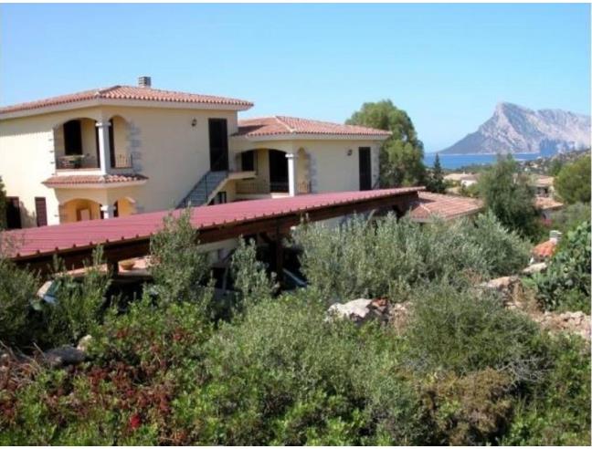 Anteprima foto 3 - Affitto Appartamento Vacanze da Privato a San Teodoro - Monte Petrosu