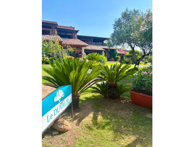 Anteprima foto 3 - Affitto Appartamento Vacanze da Privato a San Teodoro - Punta Aldia