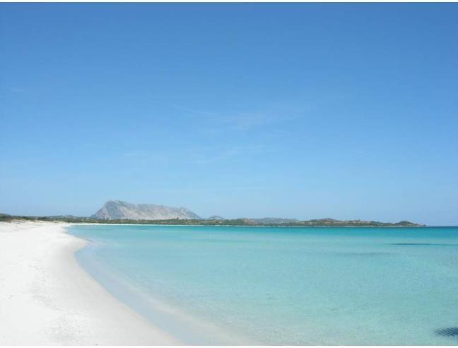 Anteprima foto 4 - Affitto Appartamento Vacanze da Privato a San Teodoro - Punta Aldia