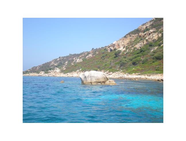 Anteprima foto 5 - Affitto Appartamento Vacanze da Privato a San Teodoro (Sassari)