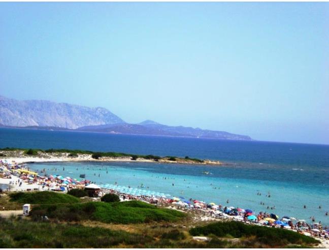 Anteprima foto 6 - Affitto Appartamento Vacanze da Privato a San Teodoro (Sassari)