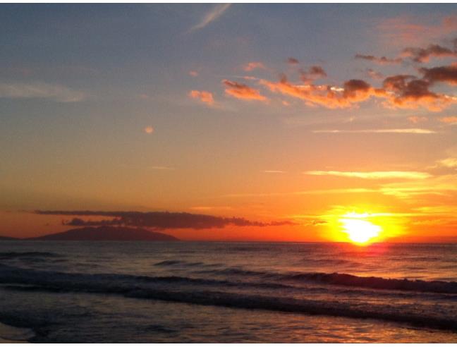 Anteprima foto 1 - Affitto Appartamento Vacanze da Privato a San Vincenzo (Livorno)