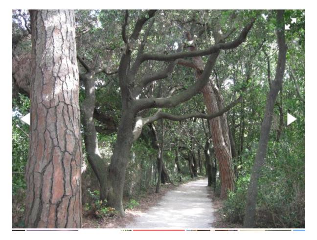 Anteprima foto 2 - Affitto Appartamento Vacanze da Privato a San Vincenzo (Livorno)