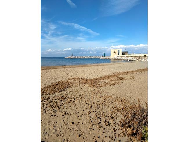 Anteprima foto 7 - Affitto Appartamento Vacanze da Privato a San Vincenzo (Livorno)