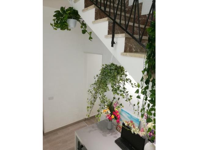 Anteprima foto 7 - Affitto Appartamento Vacanze da Privato a San Vito Lo Capo (Trapani)