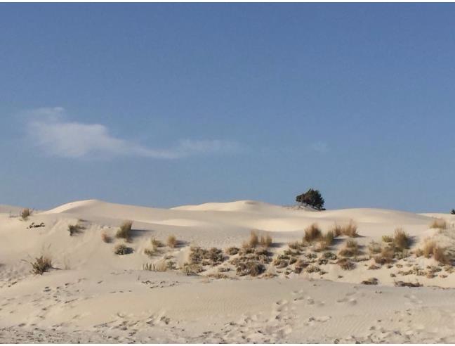 Anteprima foto 1 - Affitto Appartamento Vacanze da Privato a Sant'Anna Arresi (Carbonia-Iglesias)