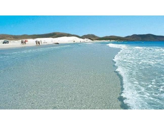 Anteprima foto 2 - Affitto Appartamento Vacanze da Privato a Sant'Anna Arresi (Sud Sardegna)