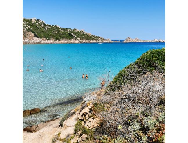 Anteprima foto 1 - Affitto Appartamento Vacanze da Privato a Santa Teresa Gallura (Olbia-Tempio)