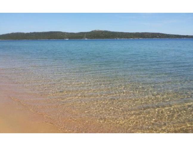 Anteprima foto 4 - Affitto Appartamento Vacanze da Privato a Santa Teresa Gallura - Porto Pozzo