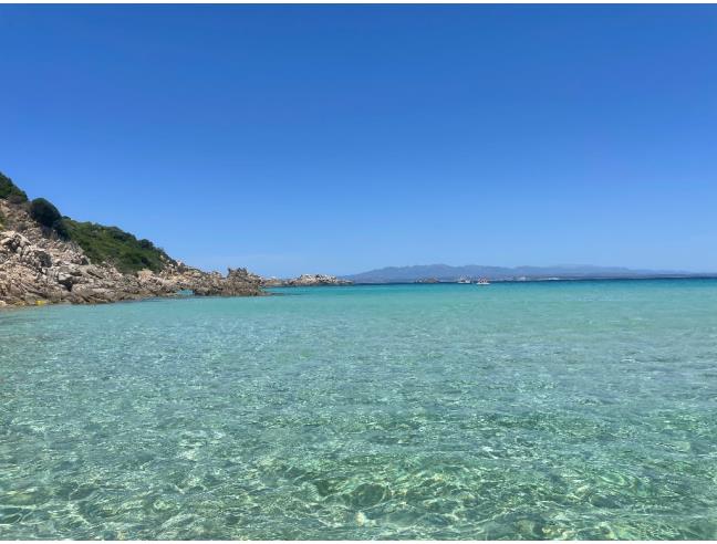 Anteprima foto 1 - Affitto Appartamento Vacanze da Privato a Santa Teresa Gallura (Sassari)