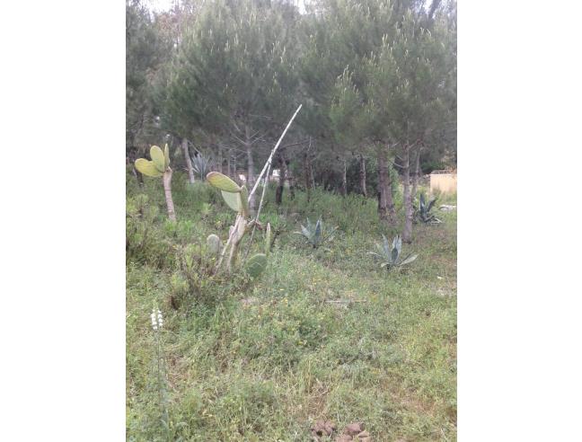 Anteprima foto 6 - Affitto Appartamento Vacanze da Privato a Santa Teresa Gallura (Sassari)