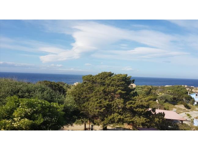 Anteprima foto 8 - Affitto Appartamento Vacanze da Privato a Santa Teresa Gallura (Sassari)