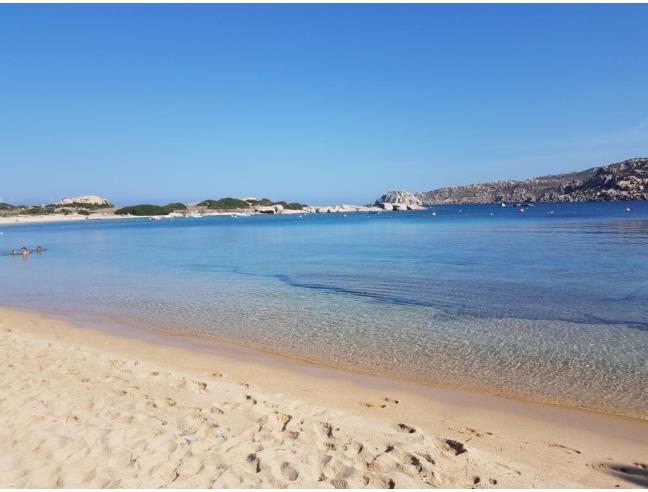 Anteprima foto 8 - Affitto Appartamento Vacanze da Privato a Santa Teresa Gallura (Sassari)