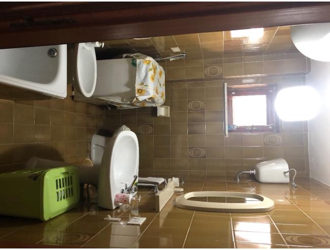 Anteprima foto 5 - Affitto Appartamento Vacanze da Privato a Scalea (Cosenza)