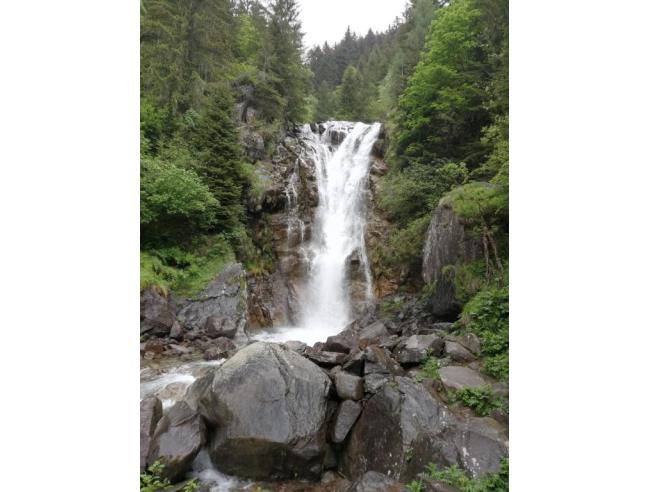 Anteprima foto 8 - Affitto Appartamento Vacanze da Privato a Schilpario - Pradella