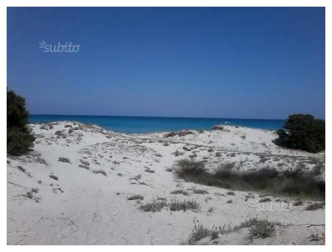 Anteprima foto 7 - Affitto Appartamento Vacanze da Privato a Siniscola - Capo Camino